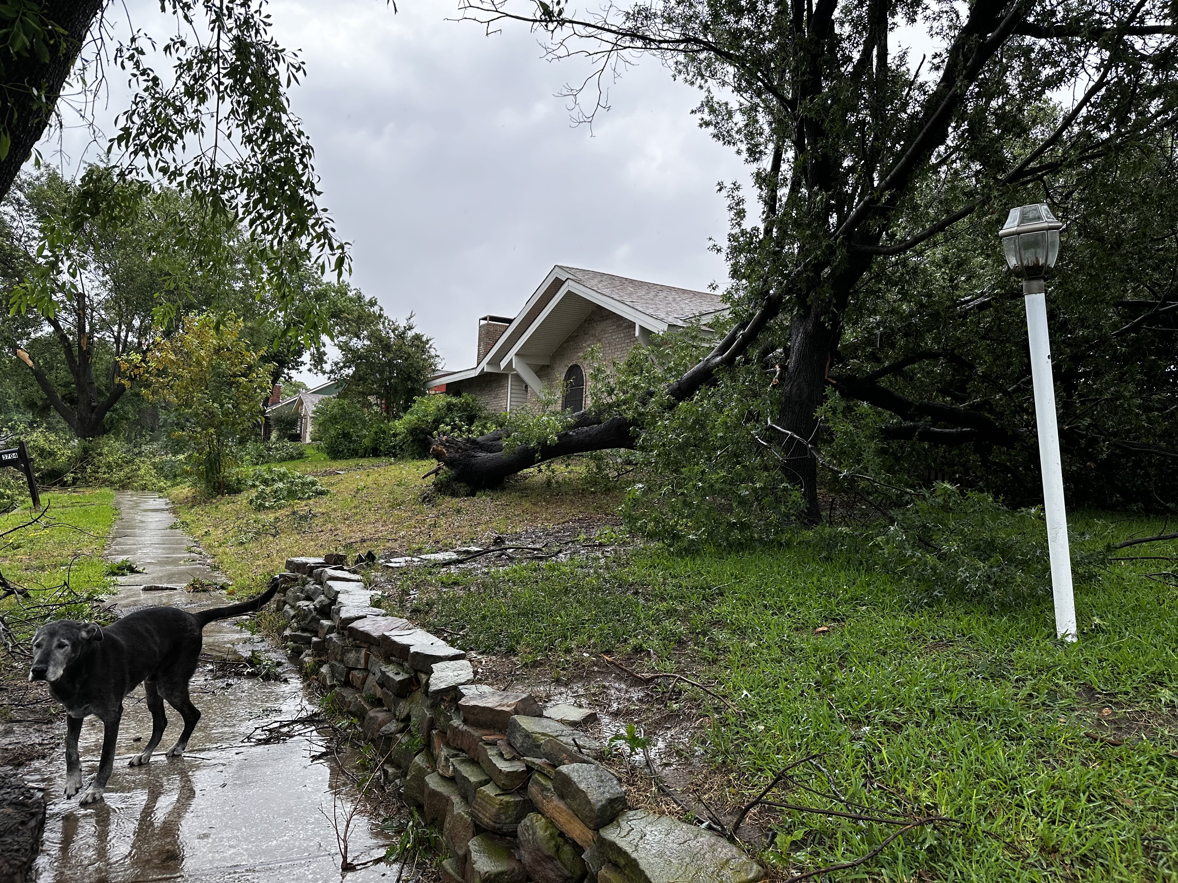 Podcast listener, just heard yall talking about the bad TX storms.. this is my front yard after 95mph wind/rain