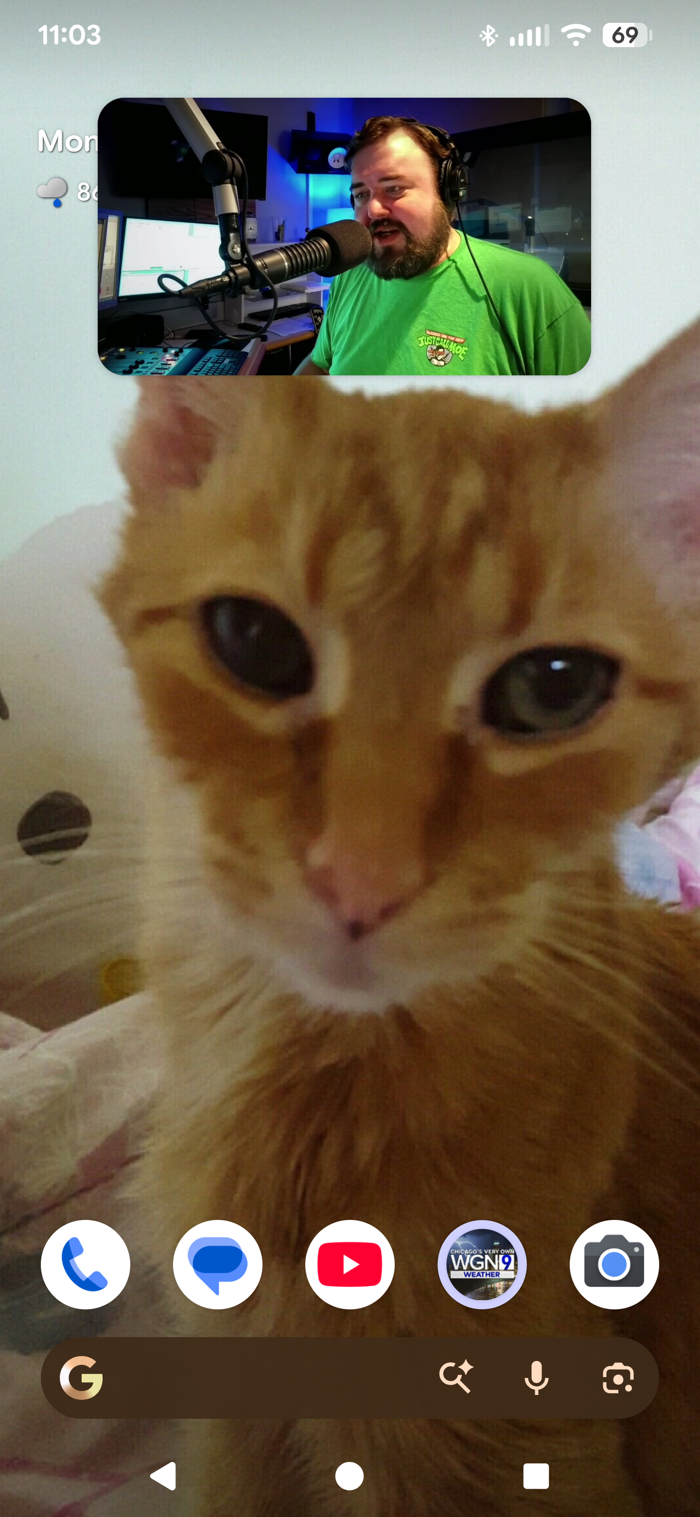 Home screen of dead cat from years ago
